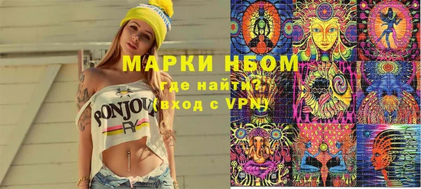 шишки Гусев