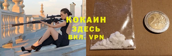 шишки Гусев