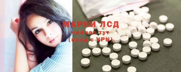 шишки Гусев