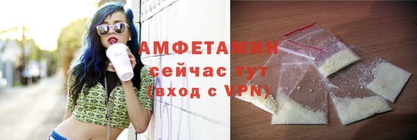шишки Гусев