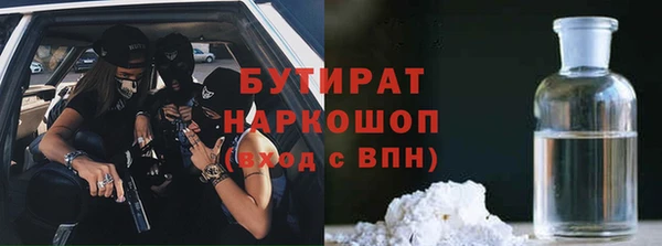 шишки Гусев