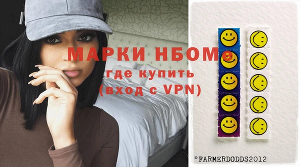 шишки Гусев