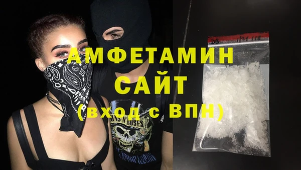 шишки Гусев