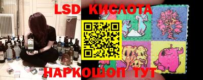 дмт Кингисепп