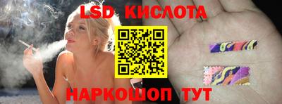 дмт Кингисепп
