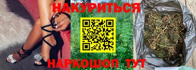 дмт Кингисепп