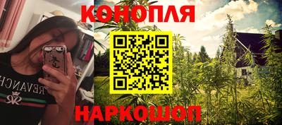 дмт Кингисепп