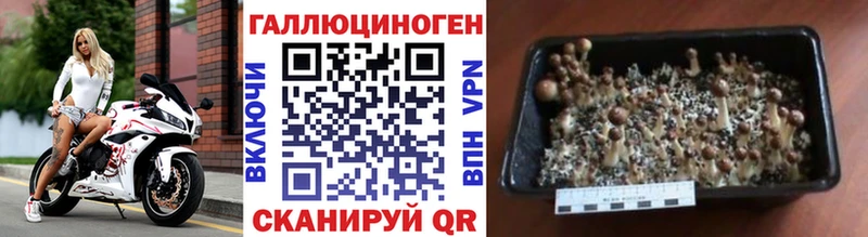 Галлюциногенные грибы ЛСД  omg сайт  Наро-Фоминск 