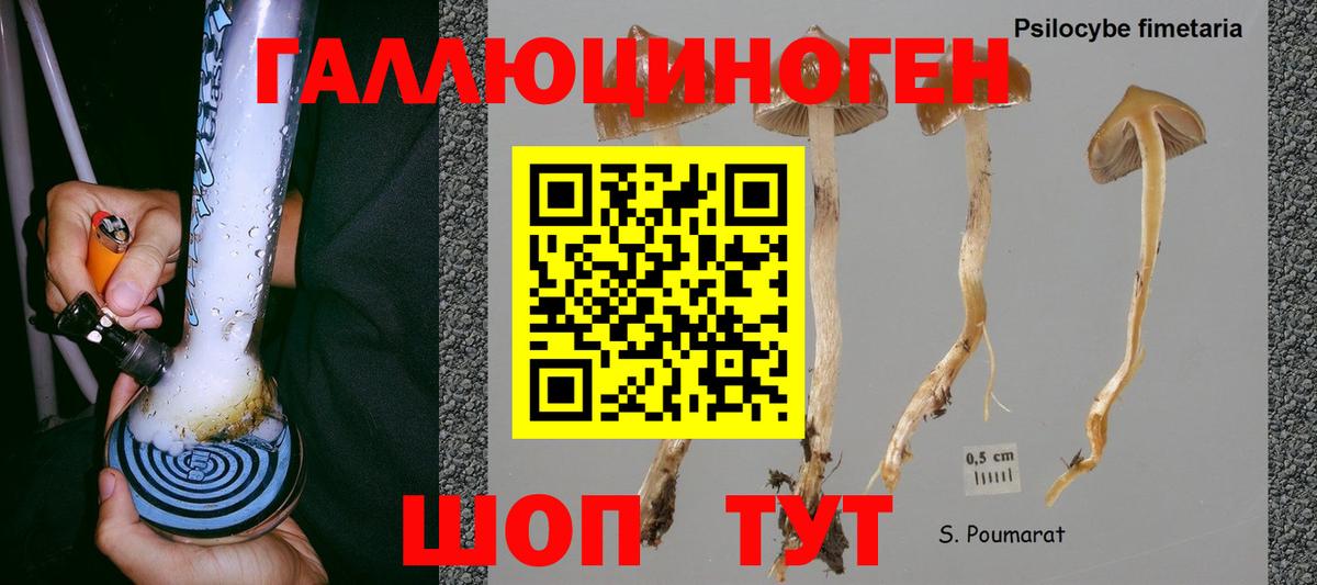 Галлюциногенные грибы MAGIC MUSHROOMS  Наро-Фоминск 