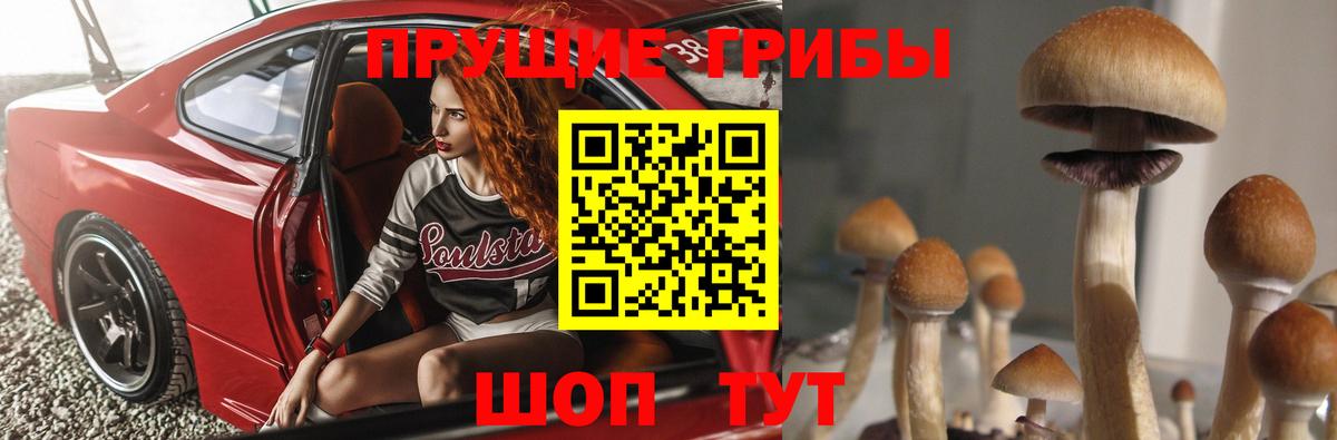 Наро-Фоминск  Галлюциногенные грибы прущие грибы  Вход с VPN 